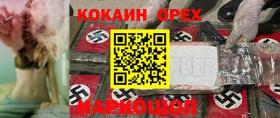 jwh Кинель
