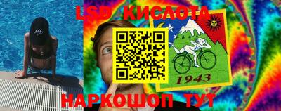 амф Кимры