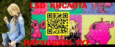 амф Кимры