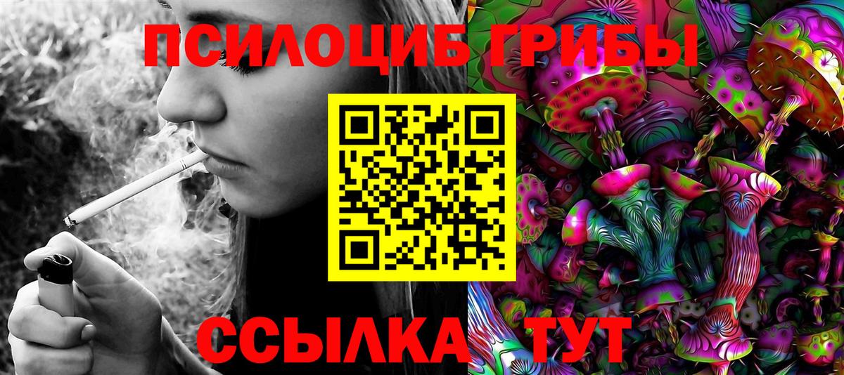 Псилоцибиновые грибы Psilocybine cubensis Коркино