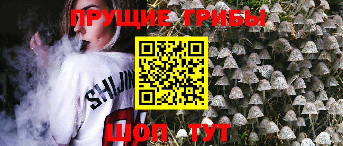 наркота  Вход с VPN  Галлюциногенные грибы мухоморы  Коркино  Псилоцибиновые грибы Psilocybe 